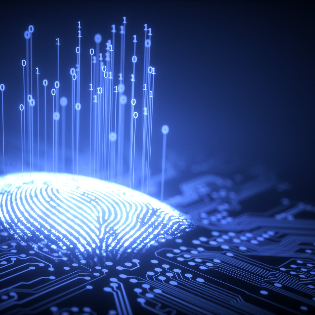 Cryptographic Key Generation From Biometric Data